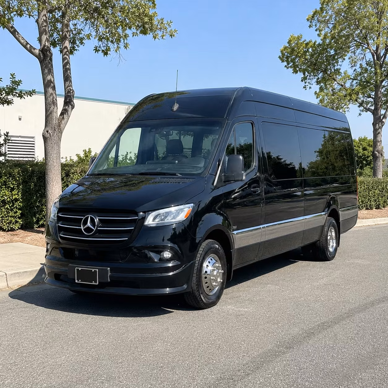 prom homecoming transportation services in palm coast